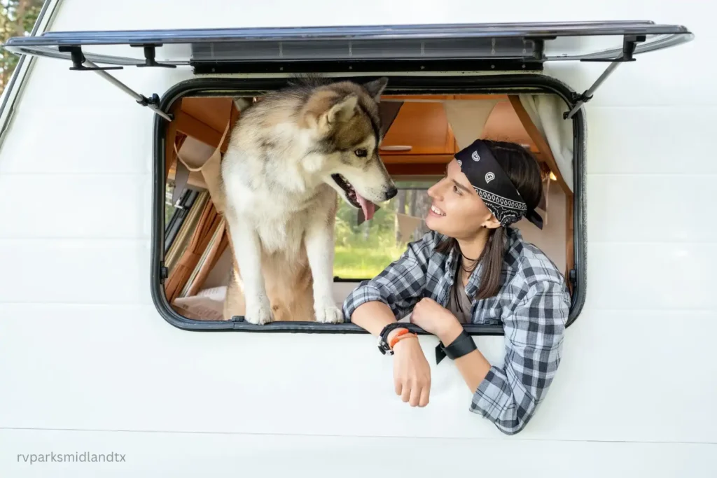 rving with dogs